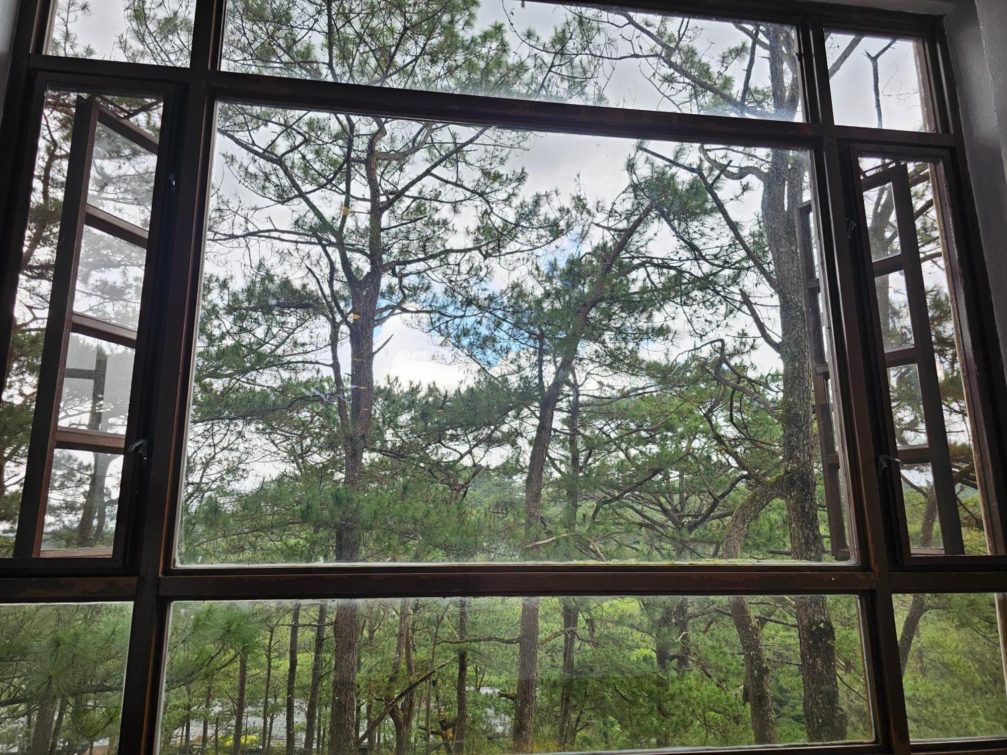 Baguio Forest Lodge At Camp John Hay 001A Baguio City Ngoại thất bức ảnh