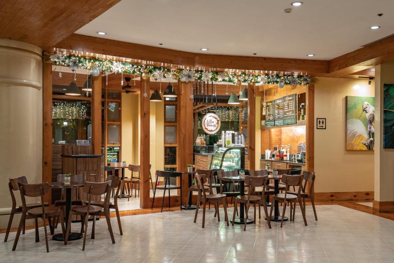 Baguio Forest Lodge At Camp John Hay 001A Baguio City Ngoại thất bức ảnh